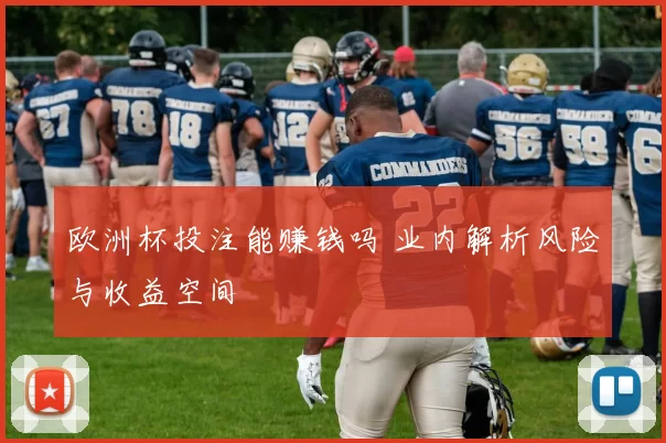 欧洲杯投注能赚钱吗 业内解析风险与收益空间