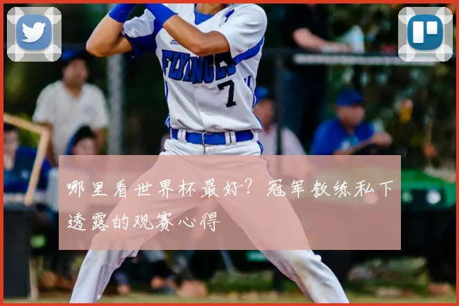 哪里看世界杯最好?冠军教练私下透露的观赛心得