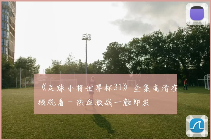 《足球小将世界杯31》全集高清在线观看 - 热血激战一触即发