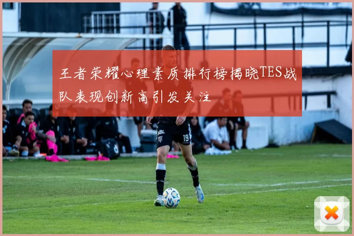 王者荣耀心理素质排行榜揭晓TES战队表现创新高引发关注