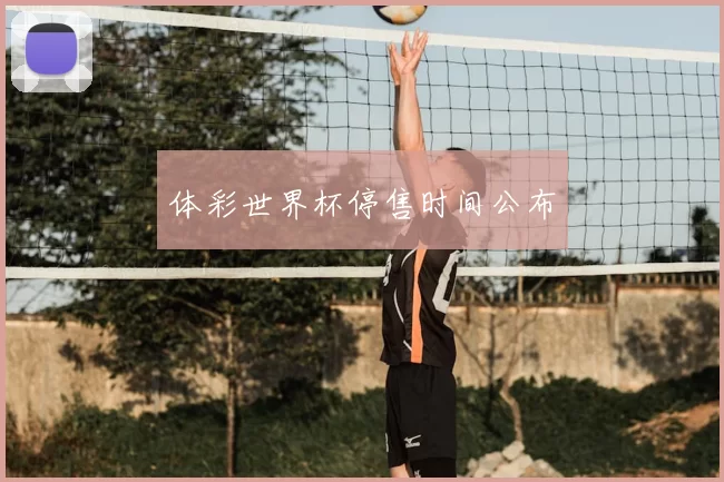 体彩世界杯停售时间公布