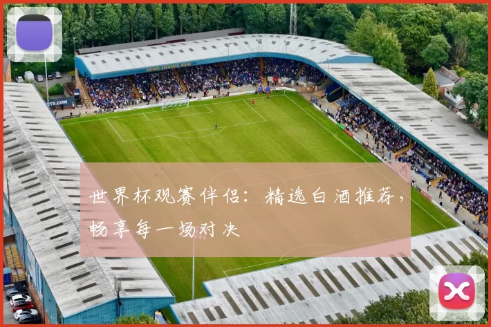 世界杯观赛伴侣:精选白酒推荐,畅享每一场对决