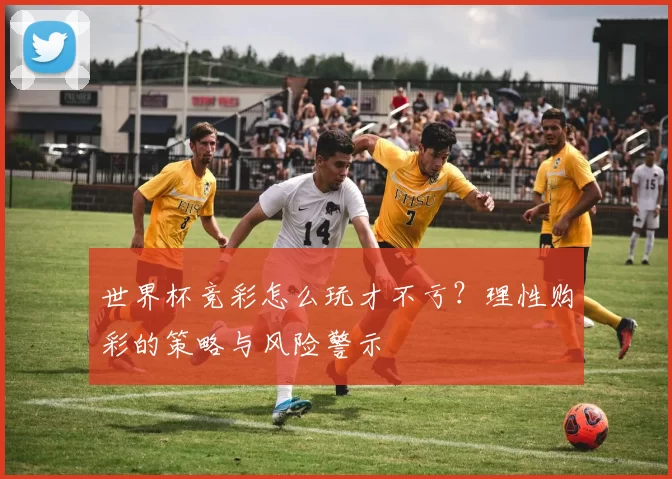 世界杯竞彩怎么玩才不亏?理性购彩的策略与风险警示