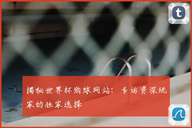揭秘世界杯购球网站：专访资深玩家的独家选择