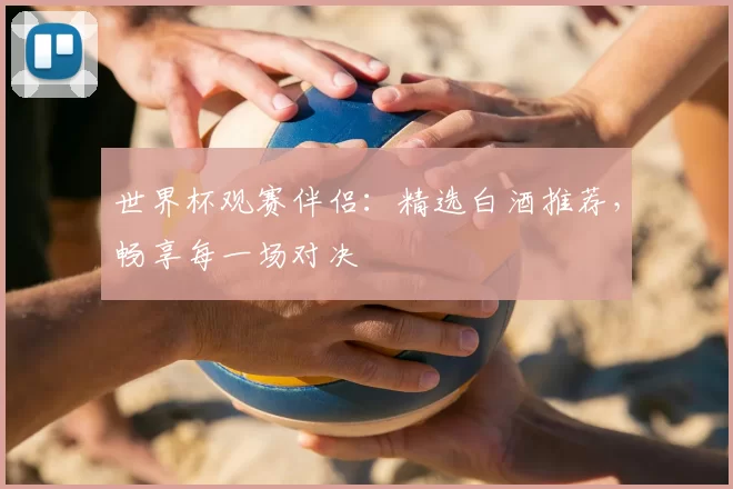 世界杯观赛伴侣:精选白酒推荐,畅享每一场对决