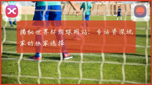 揭秘世界杯购球网站:专访资深玩家的独家选择