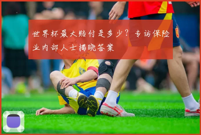 世界杯最大赔付是多少？专访保险业内部人士揭晓答案