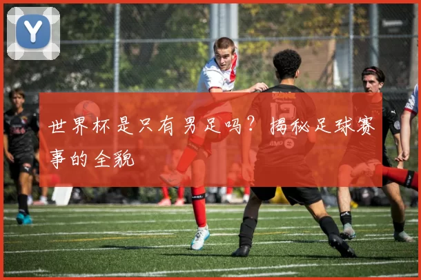 世界杯是只有男足吗?揭秘足球赛事的全貌