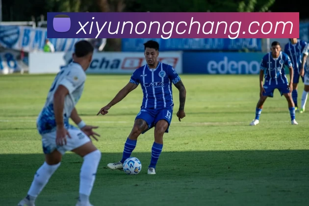 华体会平台生态图